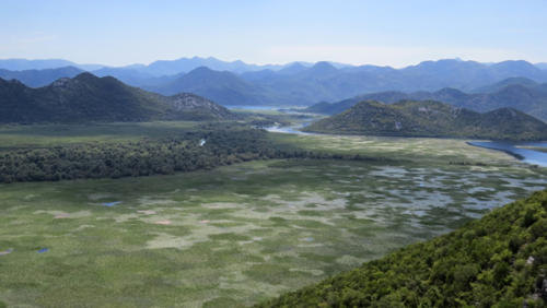 Montenegro vicino al lago di Scutari