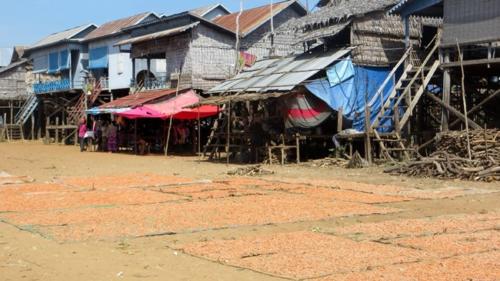 79 villaggio Kompong Phhluk